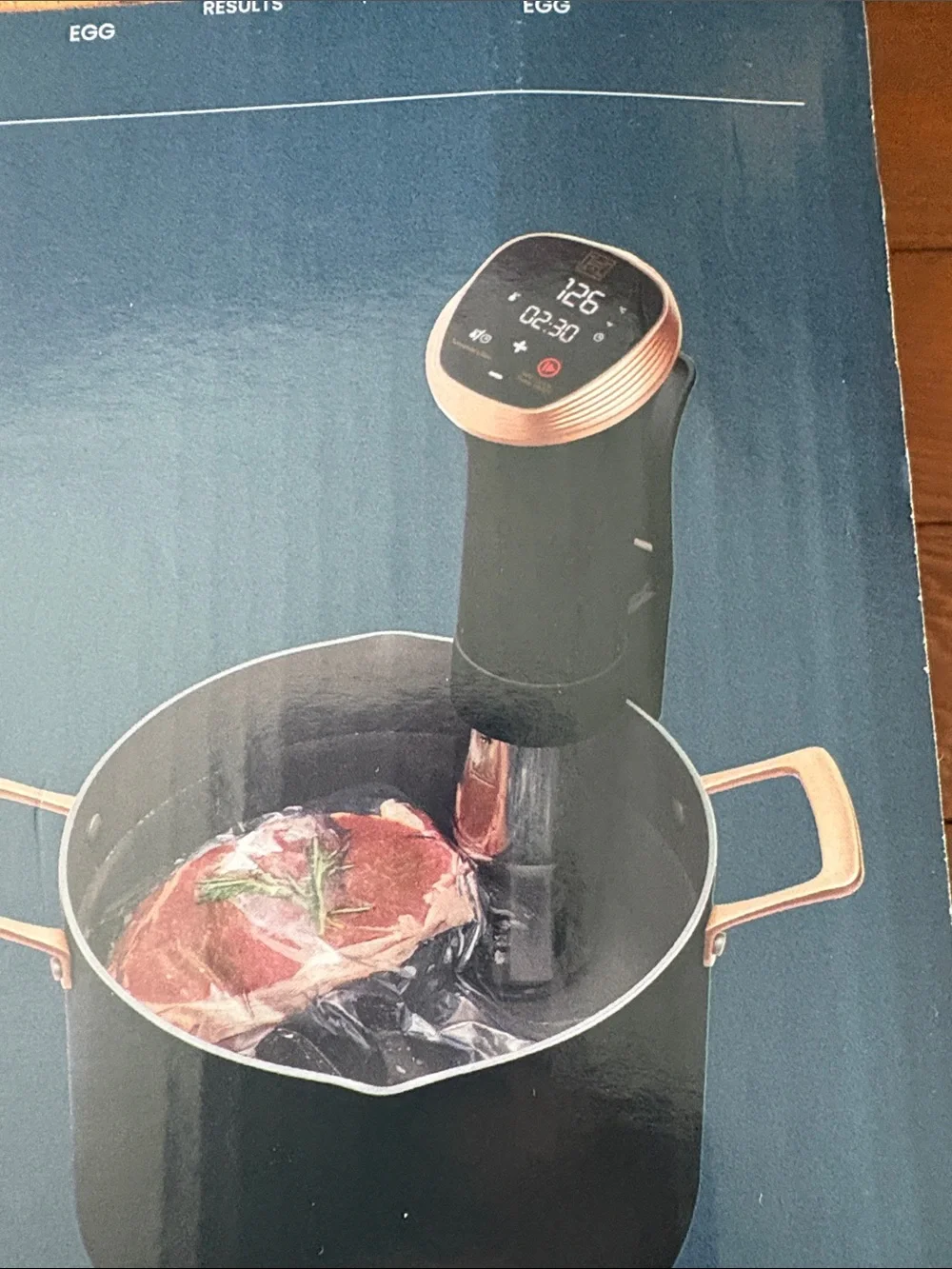Sous Vide Precision Cooker - Black and Silver